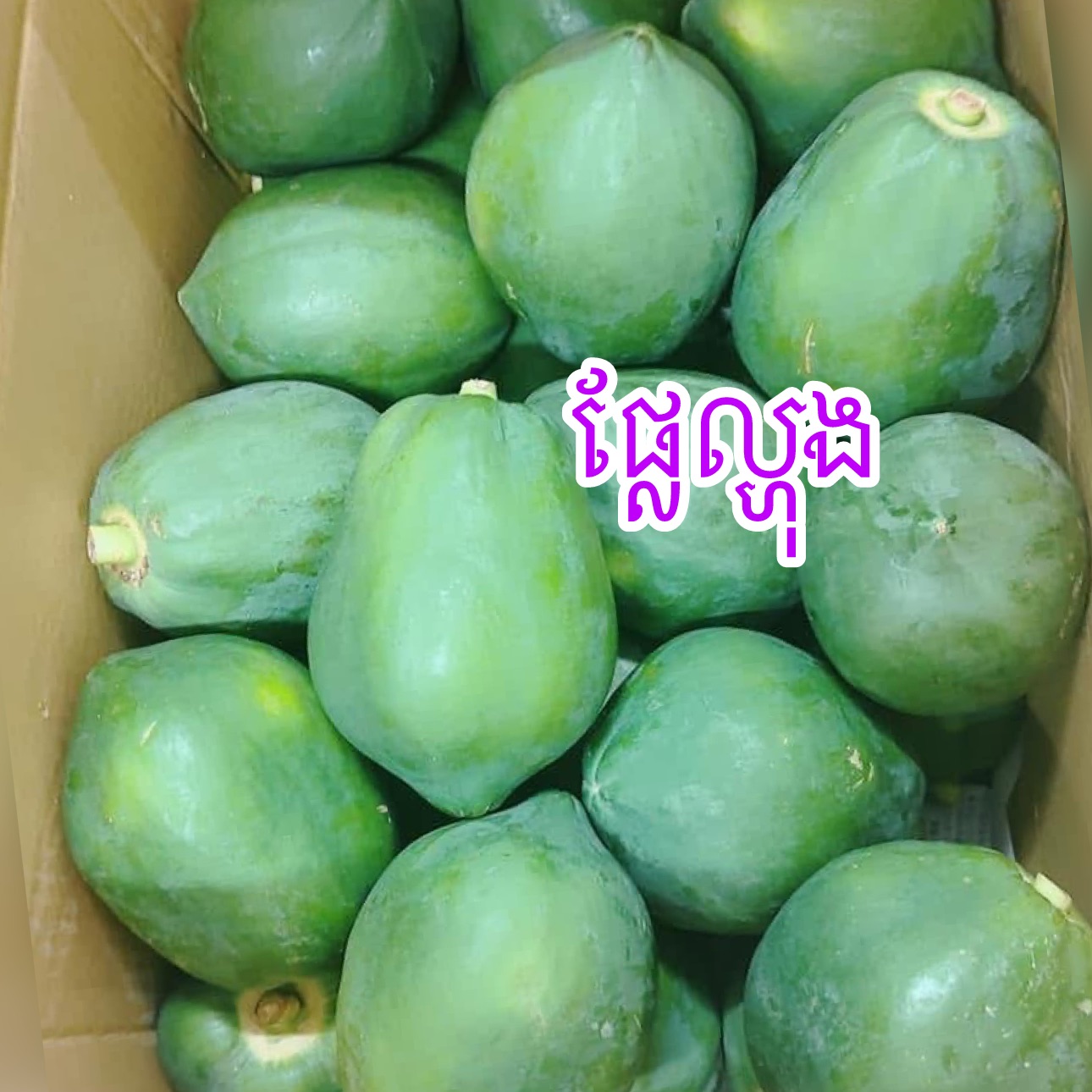 ផ្លែល្ហុង